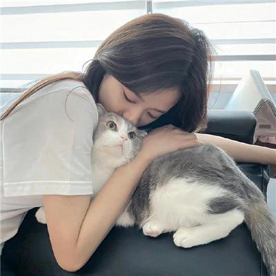 悍妻理论